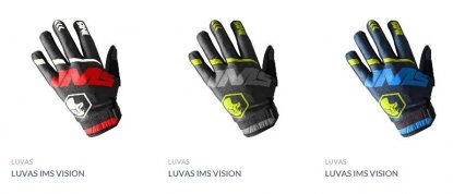 IMS VISION.jpg